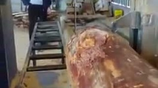 Лесопильные Оборудование2