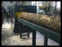 Станок круглопильный брусующий ЦБ320