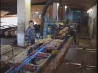 Дисковая пилорама ЦДС-1100 в работе