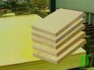 Технология производства фанеры