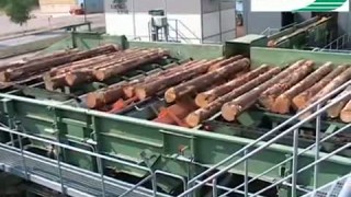 Оборудование подачи бревен в лесоцех