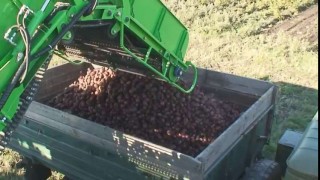 Самоходный картофелеуборочный комбайн AVR Puma+ (IE Edition)