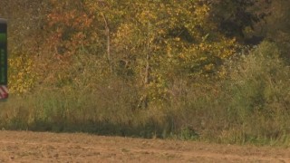 Картофелеуборочный комбайн Spirit 8200 на уборке свеклы