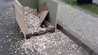 мобильная дробилка (для технологической щепы)