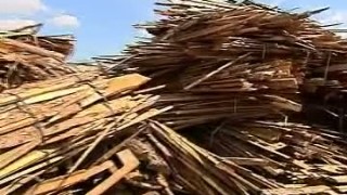 Компания ЛесСнаб (Красноярск) пилит на станке Wood-Mizer (Вудмайзер)