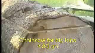 Мобильная пилорама TWIN 400 (Швеция)