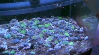 Вариант направляющих ЧПУ-CNC - Option guides CNC