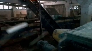 Рубильная машина РМ 55 в работе.