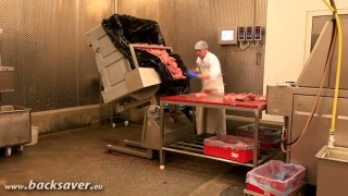 загрузчики опрокидыватели