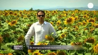 В Болгарии делают ставку на новый энергобизнес - business planet