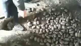 Валковый пресс