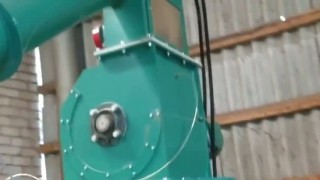 линия для производства пеллет из соломы