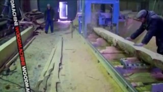 Дисковая углопильная пилорама "Гепард" - ВудМаш