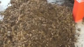 Измельчитель, шредер WEIMA ZM40 2x18,5kw