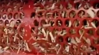 Измельчение и переработка древесины WEIMA