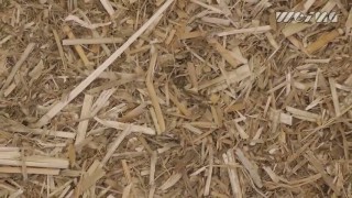 WEIMA Shredder Spider 1500 H zerkleinert Miscanthus Ballen