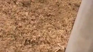 Прессование отходов древесины WEIMA TH 300