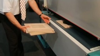 Шлифовка фрезерованных фасадов из МДФ на станке МВ модель Roba Tech