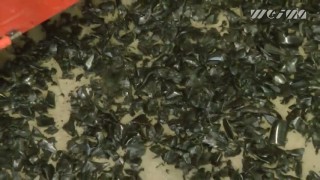 Промышленный шредер WEIMA WLK 4. Измельчение литников.