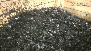 Шредер промышленный WEIMA WLK 15. Измельчение труб.