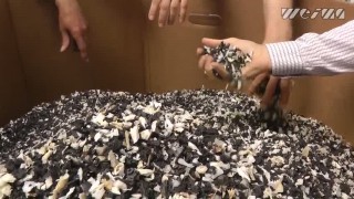 Шредер промышленный WEIMA Spider 1500 H. Измельчение литников, сливов.