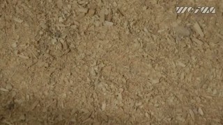 Шредер промышленный WEIMA WL 12. Измельчение древесины.