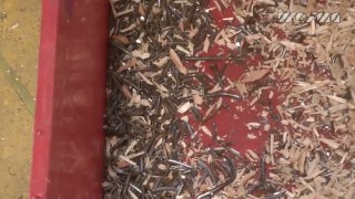 Шредер промышленный WEIMA WLK 1500. Измельчение деревянных паллет.