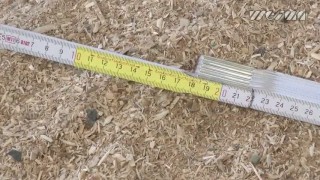 Дробилка WEIMA WNZ. Дробление древесных отходов.