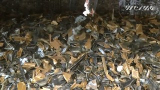 Промышленный шредер WEIMA Spider 1500 H. Измельчение ПВХ профилей.