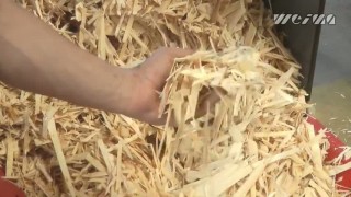 Промышленный шредер WEIMA Spider 1500 H. Измельчение шпона.