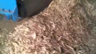 Дробилка древесных отходов MBFS 800