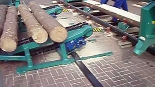 Подаватель брёвен с бункером PKZ-10 Stefan Drozdowski (Польша)