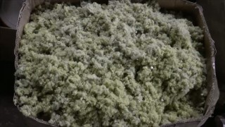 Дробилка для отходов минплиты и пенопласта