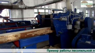 Пример работы лесопильной линии на базе головного станка Arctant CLS 652