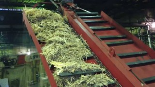 Окорочный станок ОС-600 "СИТЕК"