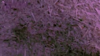 Дисковая рубительная машина ДРМ