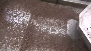 Гранулятор-компактор для переработки пленки ПВД ПВД ПП ПС ПА и др