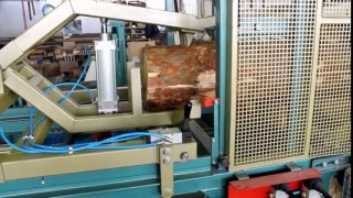 Станок многопильный рамный Авангард-РМ-50-М2-К