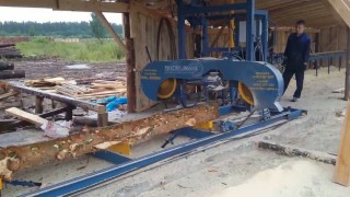 Пилорама RWL-1000m