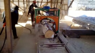 Дисковая пилорама Алтай ДПА-550