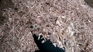 Шредер для измельчения древесных отходов LR1000