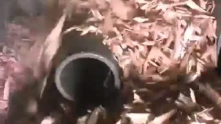 Шредер для измельчения древесины LR700