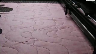 SIGN CO2 лазерный станок резать ткани для обувь