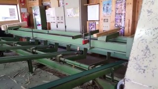 Eurowood Линия строгания на основе Weinig Hydromat 22B