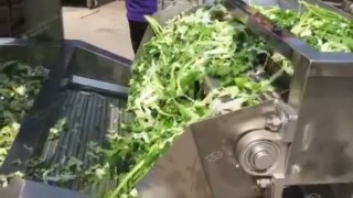 Оборудование для мойки овощей