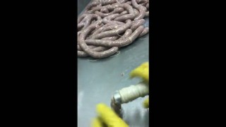 Шприц гидравлический для колбасной либо кондитерской промышленности