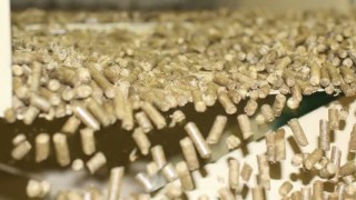 Гранула из соломы и опилок. Гранулятор ОГМ