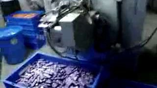 Производство двухцветной жевательной резинки