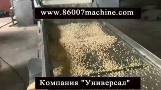 Оборудование для измельчения грецких орехов