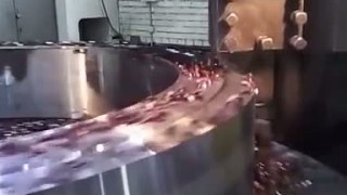 18257508 217114038782839 6423930787321610240 n